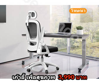 เก้าอี้เพื่อสุขภาพ ลดราคา สุด ๆ เหลือ 3,990 บาท!!!